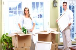 Removal Men SW5