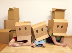 SW5 Removal Services